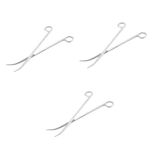 GLEAVI 3stücke Stainless Steel Curved Tip Scissors Für Aquarienpflanzen Rostfreies Material Ergonomisches Design Für Präzises Trimmen Von Wasserpflanzen Für Aquascaping Pflege Von GLEAVI 3stücke Stainless Steel Curved Tip Scissors Für Aquarienpflanzen Rostfreies Material Ergonomisches Design Für Präzises Trimmen Von Wasserpflanzen Für Aquascaping Pflege Von von GLEAVI