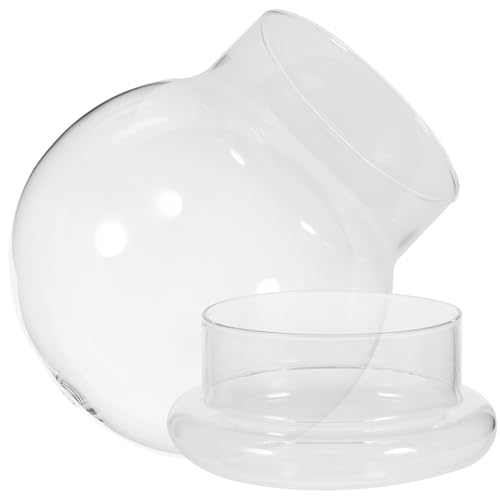GLEAVI Glas Mikrolandschafts Flasche mit Transparentem Dom Ökologischer Moos Pflanzenbehälter DIY Terrarium Glasvase Kompakt Leicht Wiederverwendbar zur Raumdekoration von GLEAVI