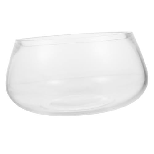GLEAVI Glasschildkrötentank Glasfischtank Fischschale Glasfischaquarium Klare Schalen Glas Desktop Landschaftstank Desktop Aquarium Desktop Fischtank Dekorative Goldfischschale von GLEAVI