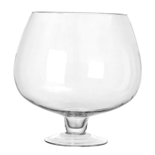 GLEAVI Goldfischglas Aus Glas Aquarium Fischbecken Panzer Aquariumdekorationen Dekoratives Betta-Becken Tischaquarium Fischbecken Pflanzen Desktop-Aquarium Fischvorräte Transparent GLEAVI Goldfischglas Aus Glas Aquarium Fischbecken Panzer Aquariumdekorationen Dekoratives Betta-Becken Tischaquarium Fischbecken Pflanzen Desktop-Aquarium Fischvorräte Transparent von GLEAVI