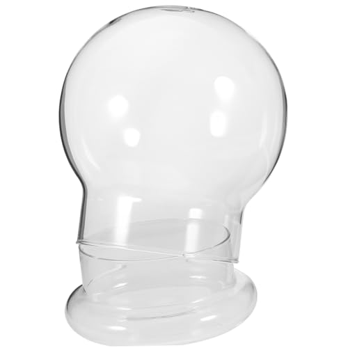 GLEAVI Terrarium mit Kuppel Ökologische Flasche für Moos Mikrolandschaften Dekorativer Pflanzbehälter für Wohnzimmer Schlafzimmer Büro und Kreative Innenräume GLEAVI Terrarium mit Kuppel Ökologische Flasche für Moos Mikrolandschaften Dekorativer Pflanzbehälter für Wohnzimmer Schlafzimmer Büro und Kreative Innenräume von GLEAVI