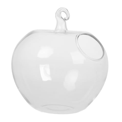 GLEAVI hängendes Fischglas Sukkulenten- -Kit Bausatz selber Machen Ornament Display Stand Metall Transparent GLEAVI hängendes Fischglas Sukkulenten- -Kit Bausatz selber Machen Ornament Display Stand Metall Transparent von GLEAVI