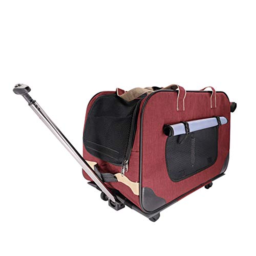 Kinderwagen für Haustiere, rollender Reisewagen für Haustiere mit abnehmbaren Rädern für kleine und mittelgroße Hunde und Katzen, abnehmbare Spurstange, intelligenter Haustierwagen, Transportbox für Kinderwagen für Haustiere, rollender Reisewagen für Haustiere mit abnehmbaren Rädern für kleine und mittelgroße Hunde und Katzen, abnehmbare Spurstange, intelligenter Haustierwagen, Transportbox für von GLETSF