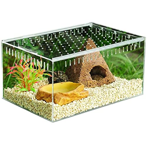 GLJY Insektenzuchtbox Transparent Insektenfutterbehälter Reptilien-Terrarium Tank für Zucht Spinnen, Skorpionen, Mantis, Käfer von GLJY