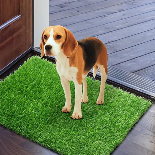 GLOBREEN Hunde-Fußmatte für schlammige Pfoten – 45,7 x 71,1 cm, maschinenwaschbar und schmutzig, grüner Kunstrasen-Eingangsteppich für Haustür, Boden, Innen- und Außenbereich von GLOBREEN