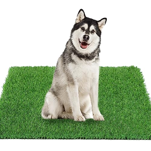 GLOBREEN Hunde-Kunstrasen, Urinierunterlage, 130,3 x 80 cm, Größe XL, für Töpfchentraining, dicke und hohe Drainage, Haustier-Gras-Patch-Matte für drinnen und draußen GLOBREEN Hunde-Kunstrasen, Urinierunterlage, 130,3 x 80 cm, Größe XL, für Töpfchentraining, dicke und hohe Drainage, Haustier-Gras-Patch-Matte für drinnen und draußen von GLOBREEN