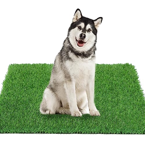 GLOBREEN Hunde-Kunstrasen, Urinierunterlage, 130,3 x 80 cm, Größe XL, für Töpfchentraining, dicke und hohe Drainage, Haustier-Gras-Patch-Matte für drinnen und draußen von GLOBREEN