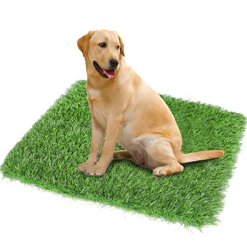 GLOBREEN Kunstrasen-Pad für Hunde, pinkeln, 114,4 x 81,3 cm, Kunstrasen, Haustiere, Rasen für Töpfchentraining, drinnen und draußen von GLOBREEN