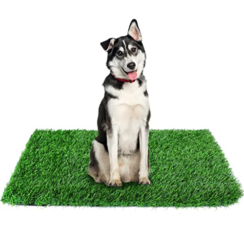 GLOBREEN Kunstrasen-Pad für Hunde, pinkeln, 86,4 x 58,9 cm, Kunstrasen, Haustiere, Rasen für Töpfchentraining, drinnen und draußen von GLOBREEN