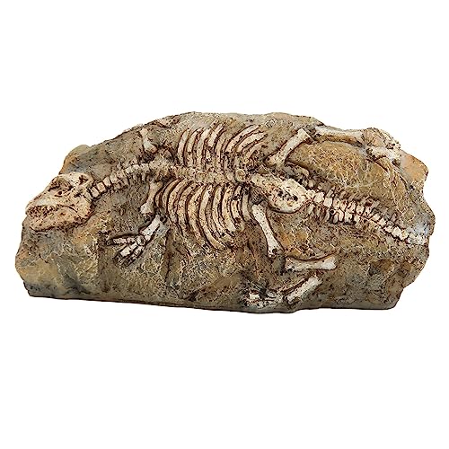 GLOGLOW Aquarium-Dinosaurier-Fossil-Dekoration, Kunstharz-Felsversteck für Aquarien, Lebendiges Aussehen, Sicher und Langlebig von GLOGLOW
