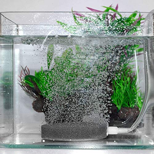 GLOGLOW Blasenstein, 8 cm Durchmesser, Aquarium-Pumpen und Filter, Luftpumpen-Zubehör, Mini-Luftpumpenstein, Fisch-Sauerstoffstein, Sauerstoffdiffusor für Aquarienfische, Pumpe, von GLOGLOW