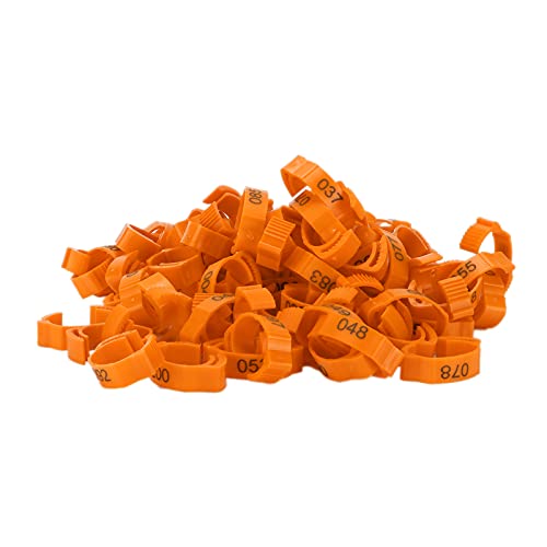 GLOGLOW Geflügelbein 100pcs Geflügelfußringe, Identifikationsbeinbänder Nummerierte für Hühnerente Vogel mit Einziehbarem Design 6 Kartenschlitzen Sicheres Material Geflügel und Vieh (Orange (100 GLOGLOW Geflügelbein 100pcs Geflügelfußringe, Identifikationsbeinbänder Nummerierte für Hühnerente Vogel mit Einziehbarem Design 6 Kartenschlitzen Sicheres Material Geflügel und Vieh (Orange (100 von GLOGLOW