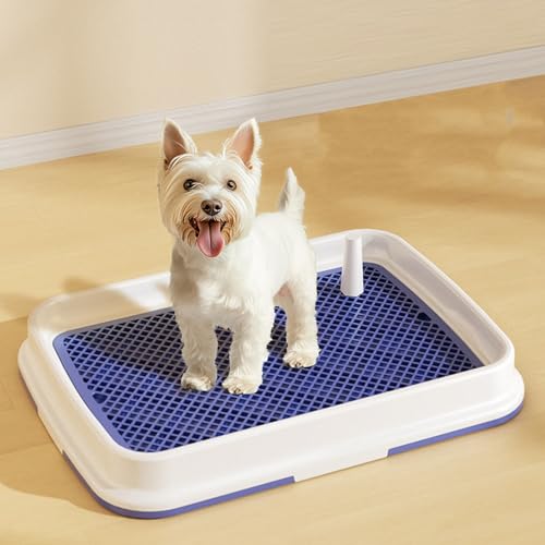GLOGLOW Innenhundedrüsenschachtel, Hoher Zaun Leicht zu Waschen Plastik Pee Pad Halter mit Dediziertem Urinschalen Geruchsweis Kleiner Hunde Toilette für Welpen Töpfchen -Training (Blue) von GLOGLOW