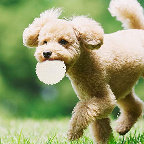 GLOGLOW Interaktives, Bissfestes Trainingsspielzeug für Hundewelpen, Umweltfreundliches Gummi-Hundespielzeug Zur Förderung der Intimen Beziehung für Kleine und Mittelgroße Hunde, von GLOGLOW