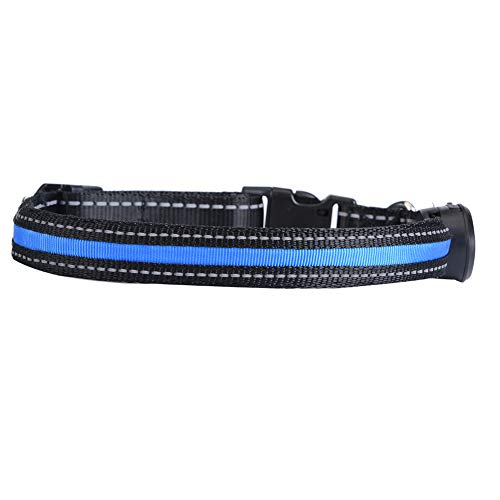 Verstellbares LED-Hundehalsband aus Nylon für Haustiere, Blinkend, mit Wiederaufladbarem USB-Anschluss, Reduziert den Verlust von Haustieren bei Nächtlichen Spaziergängen (S) von GLOGLOW