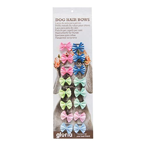 GLORIA 8432288107508 Haargummi für Hunde, Multicolor, 50 g von GLORIA LO MEJOR PARA TU MEJOR AMIGO