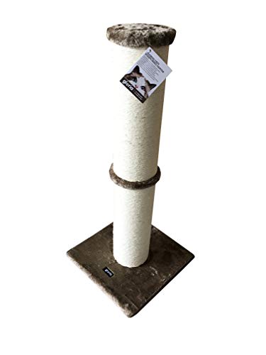 GLORIA 8432288109847 Scraper und Katzen Zentrum Spielen - Sinaloa, MA, 800 g GLORIA 8432288109847 Scraper und Katzen Zentrum Spielen - Sinaloa, MA, 800 g von GLORIA LO MEJOR PARA TU MEJOR AMIGO