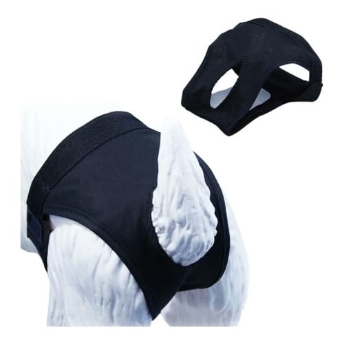 GLORIA 8432288240014 Braga für Hunde, 100 g von GLORIA LO MEJOR PARA TU MEJOR AMIGO