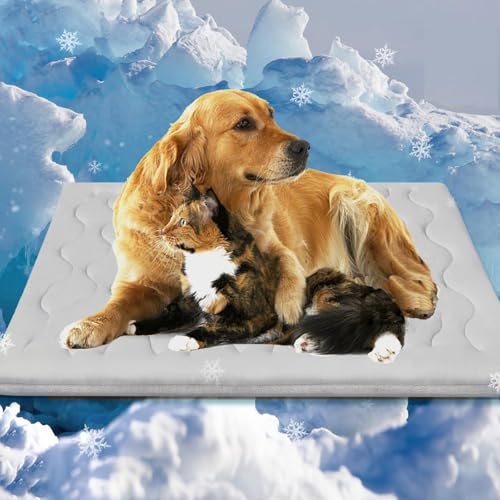 GLSAYZU Drpfoten Kühlmatte, Pfotenchill Kühlmatte Hund, Pfotenfrost Matte, Aus Kühlgewebe Wendbar, Kühlbett Für Hunde, Leicht Waschbar, Faltbar, Maschinenwaschbar, Selbstkühlende (L) von GLSAYZU