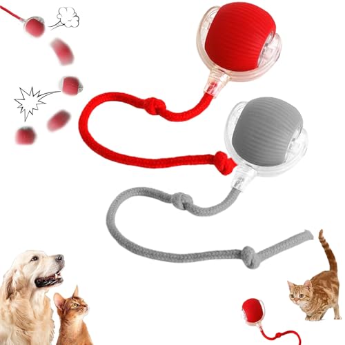 GLSAYZU Interaktives Katzenspielzeug, Smart Cat Ball Spielzeug, Automatischer Rollball Katzenspielzeug, Chewie Viraler Rollball, 360°Smart Automatisches Rollen für Indoor Große Kleine Katzen & Hunde GLSAYZU Interaktives Katzenspielzeug, Smart Cat Ball Spielzeug, Automatischer Rollball Katzenspielzeug, Chewie Viraler Rollball, 360°Smart Automatisches Rollen für Indoor Große Kleine Katzen & Hunde von GLSAYZU