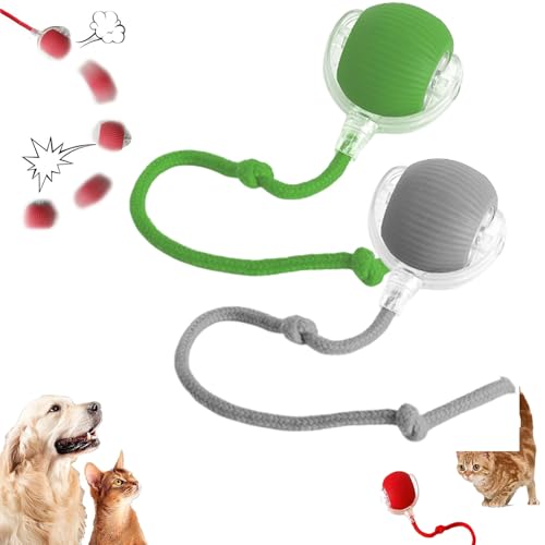 GLSAYZU Interaktives Katzenspielzeug, Smart Cat Ball Spielzeug, Automatischer Rollball Katzenspielzeug, Chewie Viraler Rollball, 360°Smart Automatisches Rollen für Indoor Große Kleine Katzen & Hunde GLSAYZU Interaktives Katzenspielzeug, Smart Cat Ball Spielzeug, Automatischer Rollball Katzenspielzeug, Chewie Viraler Rollball, 360°Smart Automatisches Rollen für Indoor Große Kleine Katzen & Hunde von GLSAYZU