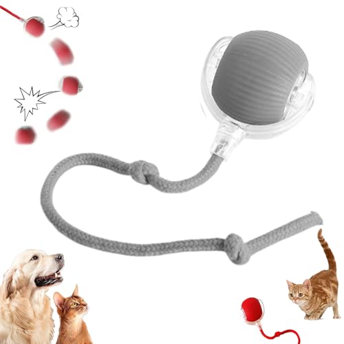 GLSAYZU Interaktives Katzenspielzeug, Smart Cat Ball Spielzeug, Automatischer Rollball Katzenspielzeug, Chewie Viraler Rollball, 360°Smart Automatisches Rollen für Indoor Große Kleine Katzen & Hunde GLSAYZU Interaktives Katzenspielzeug, Smart Cat Ball Spielzeug, Automatischer Rollball Katzenspielzeug, Chewie Viraler Rollball, 360°Smart Automatisches Rollen für Indoor Große Kleine Katzen & Hunde von GLSAYZU