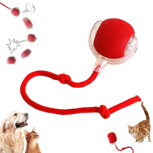 GLSAYZU Interaktives Katzenspielzeug, Smart Cat Ball Spielzeug, Automatischer Rollball Katzenspielzeug, Chewie Viraler Rollball, 360°Smart Automatisches Rollen für Indoor Große Kleine Katzen & Hunde GLSAYZU Interaktives Katzenspielzeug, Smart Cat Ball Spielzeug, Automatischer Rollball Katzenspielzeug, Chewie Viraler Rollball, 360°Smart Automatisches Rollen für Indoor Große Kleine Katzen & Hunde von GLSAYZU