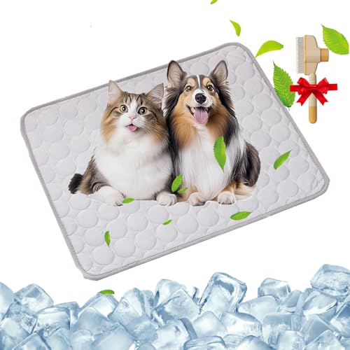 GLSAYZU Kittinis - Coolcat V.4 - Premium Kühlmatte Mit Eisseide, Kühlmatte Hund Katze Selbstkühlende, wasserdichte, rutschfeste Kühldecke Hund Katze für Zuhause oder im Auto (Grey, 2XL: 150 × 100 cm) GLSAYZU Kittinis - Coolcat V.4 - Premium Kühlmatte Mit Eisseide, Kühlmatte Hund Katze Selbstkühlende, wasserdichte, rutschfeste Kühldecke Hund Katze für Zuhause oder im Auto (Grey, 2XL: 150 × 100 cm) von GLSAYZU