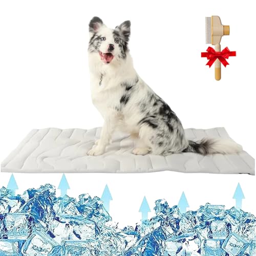 GLSAYZU Pfotenchill Die Innovative Kühlmatte Für Hunde, Kühldecke Hund Selbstkühlend, Kühlbett Für Hund, Frischematte für Hunde und Katzen | langlebiger – Kratzfest (L(70-120CM)) von GLSAYZU