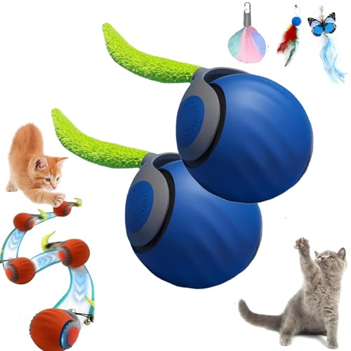 GLSAYZU Speedy Tail Katzenspielzeug, Speedy Tail 2.0, Interaktives Katzenspielzeug für Indoor-Katzen, Speedy Tail 2.0 Automatisch Beweglicher Katzenspielzeugball, Smart Katzenspielzeug für GLSAYZU Speedy Tail Katzenspielzeug, Speedy Tail 2.0, Interaktives Katzenspielzeug für Indoor-Katzen, Speedy Tail 2.0 Automatisch Beweglicher Katzenspielzeugball, Smart Katzenspielzeug für von GLSAYZU