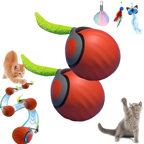Speedy Tail Katzenspielzeug, Speedy Tail 2.0, Interaktives Katzenspielzeug für Indoor-Katzen, Speedy Tail 2.0 Automatisch Beweglicher Katzenspielzeugball, Smart Cat Toy für gelangweilte Katze, USB Speedy Tail Katzenspielzeug, Speedy Tail 2.0, Interaktives Katzenspielzeug für Indoor-Katzen, Speedy Tail 2.0 Automatisch Beweglicher Katzenspielzeugball, Smart Cat Toy für gelangweilte Katze, USB von GLSAYZU