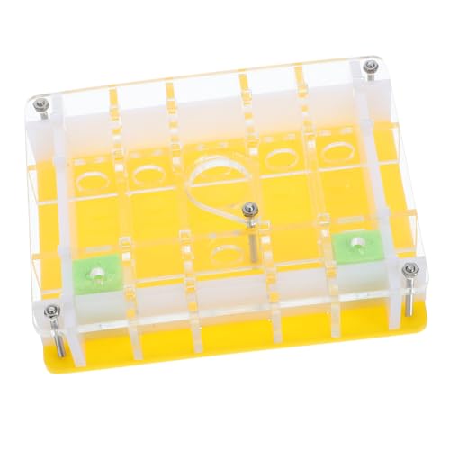 GLSTOY Ökologischer Ameisenkasten Aus Acryl Für Haustiere Transparent Zur Wissenschaftlichen Beobachtung Und Zucht Für Naturliebhaber von GLSTOY