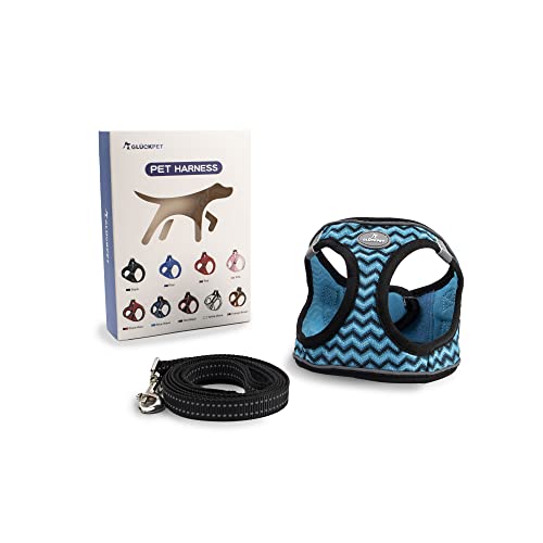 Hundegeschirr für Mittel und Kleine Hunde, mit 1,4m Hundeleine, Reflektierende, Atmungsaktiv, XS, Schwarze und Blaue Streifen von GLÜCKPET
