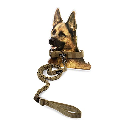 Hundehalsband mit Hundeleine und Gurt für Auto, Klett und Ring für Etiketten, M, Militärgrün von GLÜCKPET
