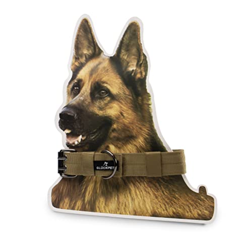 Hundehalsband mit Klett und Ring für Etiketten, M, Militärgrün von GLÜCKPET