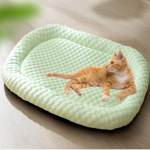 GLazzy Kühlkissen for Welpen, Kühlbett for Haustiere, Kühlmatte for Hunde, Kühlkissen aus Eisseide for Haustiere, for Kisten, Zwinger, Sofaböden, Autos und den Außenbereich(Green,XL) von GLazzy