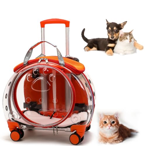 Katzentragetasche mit Rädern, transparente Katzentragetasche mit Luftpolsterfolie, Haustier-Trolley, Haustier-Rucksack for kleine Kätzchen und Hunde, tragbarer Reiserucksack for Katzen und Hunde, Haus Katzentragetasche mit Rädern, transparente Katzentragetasche mit Luftpolsterfolie, Haustier-Trolley, Haustier-Rucksack for kleine Kätzchen und Hunde, tragbarer Reiserucksack for Katzen und Hunde, Haus von GLazzy