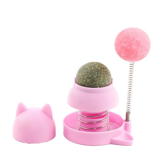 GMBYLBY Catmint Mit Rollendem Spielzeug Lustige Katzenkratztübung Interaktive Katzenspielzeug Indoor Kätzchen Spielzeug Für Katzen Katzen Interaktive Spielzeugball Katzen Interaktives GMBYLBY Catmint Mit Rollendem Spielzeug Lustige Katzenkratztübung Interaktive Katzenspielzeug Indoor Kätzchen Spielzeug Für Katzen Katzen Interaktive Spielzeugball Katzen Interaktives von GMBYLBY