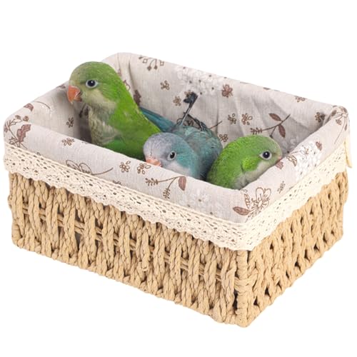 GMBYLBY Papageiennest Für Kleine Vögel Handgewebtes Mit Baumwollfutter Vogelhaus Kleines Haustier Tierlebensräume Zubehör Vogelhaus GMBYLBY Papageiennest Für Kleine Vögel Handgewebtes Mit Baumwollfutter Vogelhaus Kleines Haustier Tierlebensräume Zubehör Vogelhaus von GMBYLBY