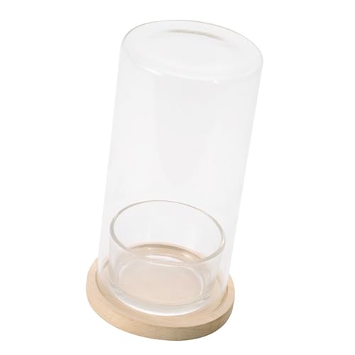 Glashydroponic Terrarium Flaschen Pflanze Glasflasche Töpfe Bringen Die Natur In Arbeitsbereiche Für Büro Oder Heimgebrauch Dekore von GMBYLBY