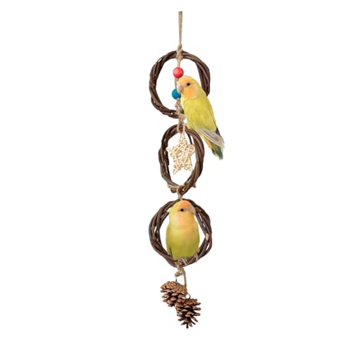 GMBYLBY Vogel Stehend Barsch Spielzeug Vogel Käfig Kauen Spielzeug Schaukel Ringe Für Kleine Vögel Vogelkäfige Dekore Liefern Vogel Schaukel Spielzeug Für Schleifen GMBYLBY Vogel Stehend Barsch Spielzeug Vogel Käfig Kauen Spielzeug Schaukel Ringe Für Kleine Vögel Vogelkäfige Dekore Liefern Vogel Schaukel Spielzeug Für Schleifen von GMBYLBY