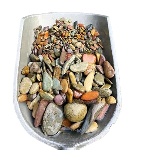 GMGQJST Aquarium Steine 100/200/500g Aquariumboden Sandstein Aquarium Landschaft Native Stream Natursandstein Garten DIY Zubehör Dekorationen(4-50mm,500g) von GMGQJST
