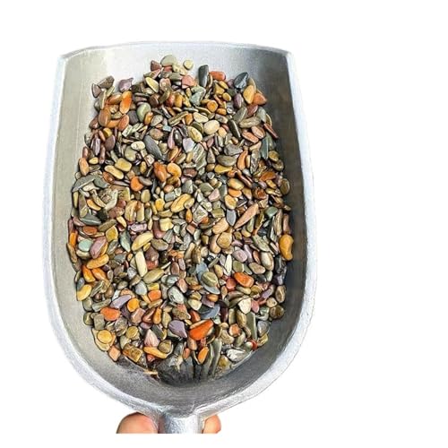 GMGQJST Aquarium Steine 100/200/500g Aquariumboden Sandstein Aquarium Landschaft Native Stream Natursandstein Garten DIY Zubehör Dekorationen(4-8mm,500g) von GMGQJST