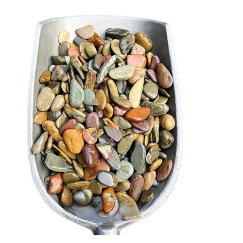 GMGQJST Aquarium Steine 100/200/500g Aquariumboden Sandstein Aquarium Landschaft Native Stream Natursandstein Garten DIY Zubehör Dekorationen(8-18mm,500g) von GMGQJST