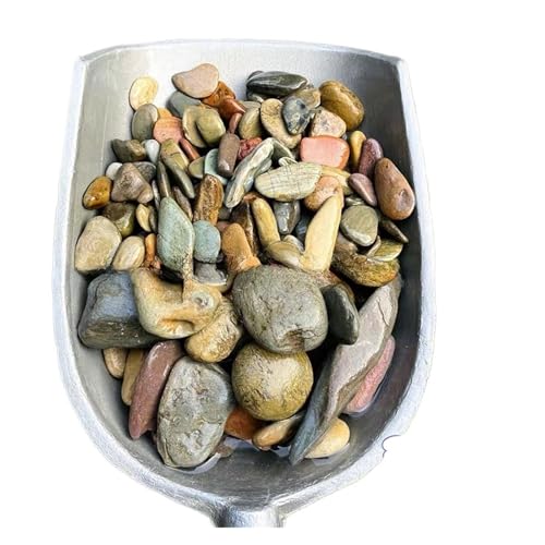 GMGQJST Aquarium Steine 100/200/500g Aquariumboden Sandstein Aquarium Landschaft Native Stream Natursandstein Garten DIY Zubehör Dekorationen(8-50mm,500g) von GMGQJST