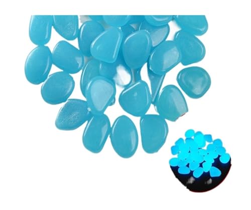 GMGQJST Aquarium Steine 200 Stück leuchtende Steine, die im Dunkeln leuchten, Kieselsteine, Fluoreszierende Steine ​​für Aquarium, Aquarium, Wasserlandschaft, Heimdekoration, 1 cm(Blue-200pcs) von GMGQJST