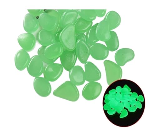 GMGQJST Aquarium Steine 200 Stück leuchtende Steine, die im Dunkeln leuchten, Kieselsteine, Fluoreszierende Steine ​​für Aquarium, Aquarium, Wasserlandschaft, Heimdekoration, 1 cm(Green-200pcs) von GMGQJST