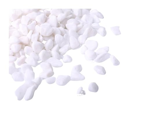 GMGQJST Aquarium Steine 250g Kristallsand Aquariumboden Sand Landschaftsbau Dekostein Aquarium Aquatischer Sand Schildkrötensand Dekorationen(White) von GMGQJST