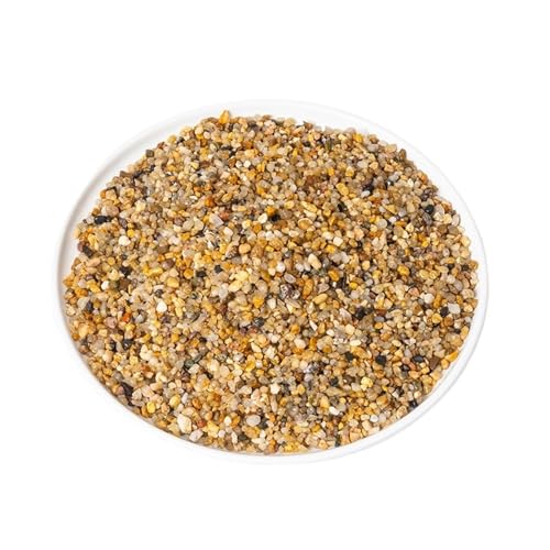 GMGQJST Aquarium Steine 500g Aquarium Boden Sand Aquarium Landschaft Zubehör Topfpflanzen DIY Wohnkultur Landschaft Garten Natürliche Kies Stein(Style B 2-4mm) von GMGQJST