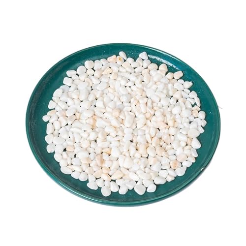 GMGQJST Aquarium Steine 500g Aquarium Boden Sand Aquarium Landschaft Zubehör Topfpflanzen DIY Wohnkultur Landschaft Garten Natürliche Kies Stein(Style E 0.6-0.9cm) von GMGQJST